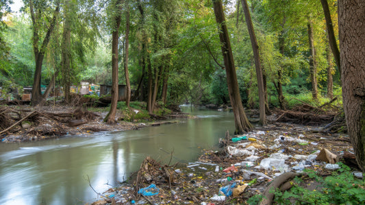 Why Clean Rivers Matter: Protecting the Lifeblood of Our Planet