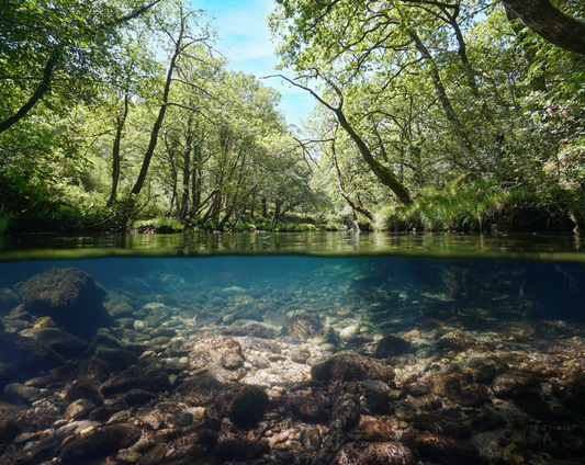 What Makes a River Truly Clean? (It’s More Than Just Clear Water)