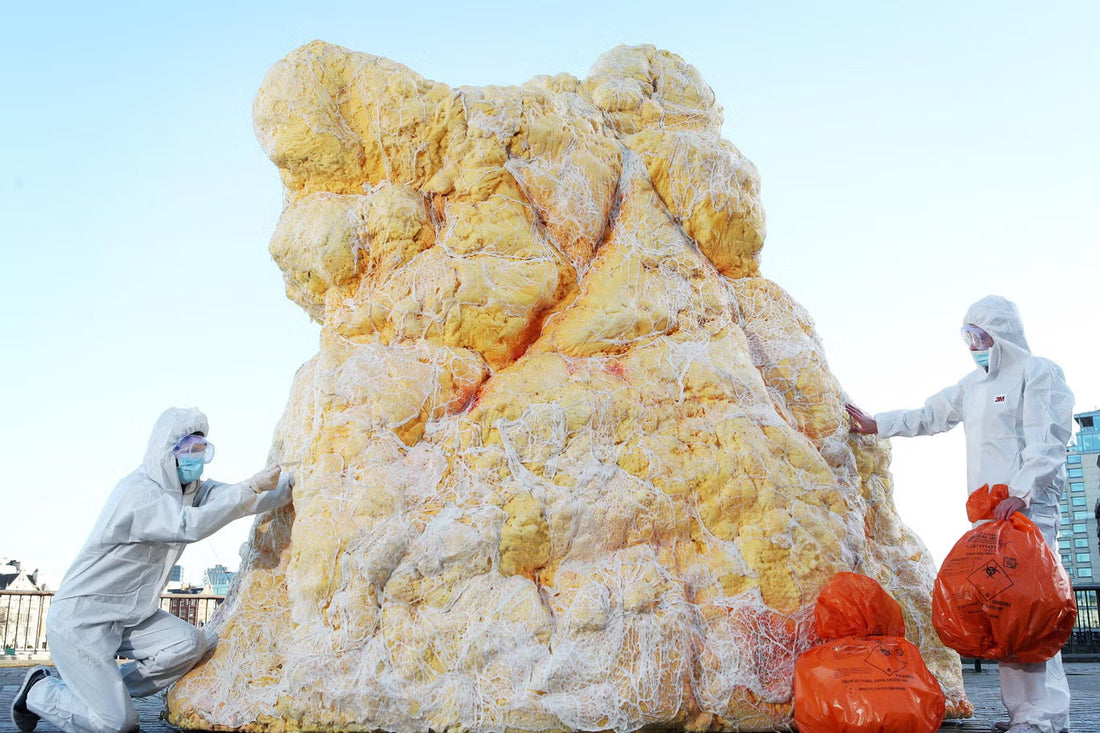 Fatbergs - Scourge of Urban Rivers