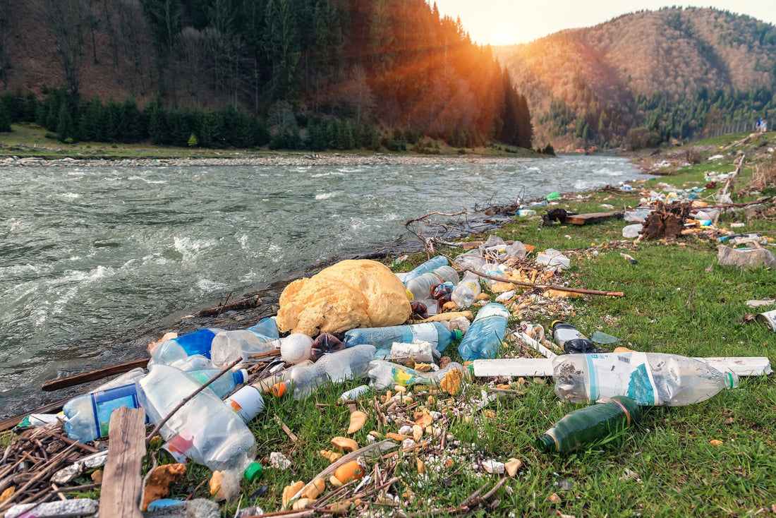Plastics In Our Veins