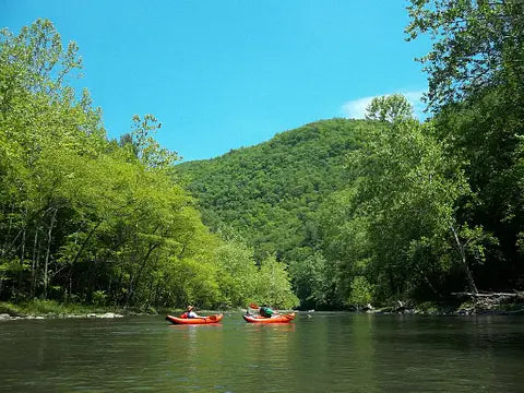 Why Are So Many Dams Being Removed From Rivers?